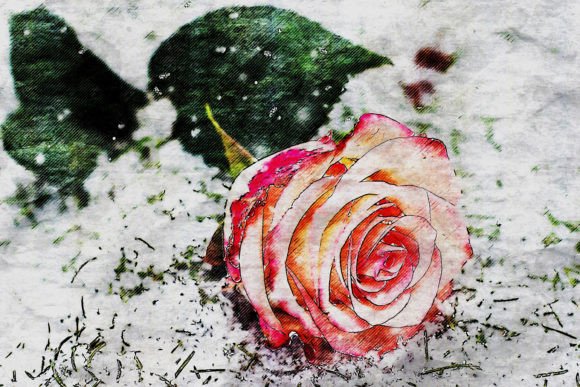 Download Printable Flower Graphics Pack# 09 - Graphic Collection