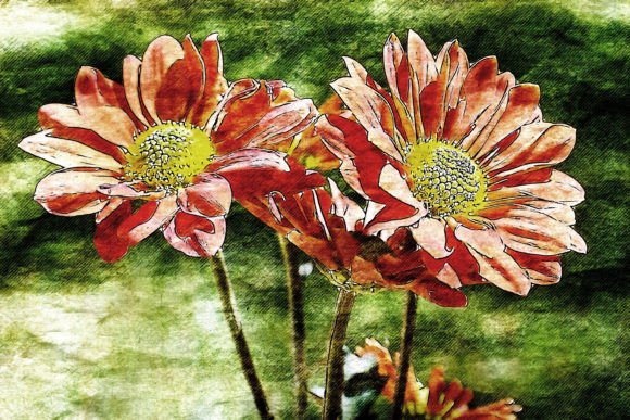 Download Printable Flower Graphics Pack# 01 - Graphic Collection