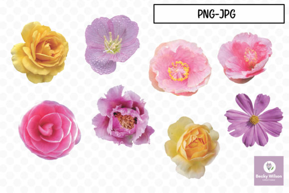 Download Real Pretty Flowers Set 02 - Pretty flowers Collection