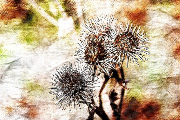 Download Printable Flower Graphics Pack# 03 - Graphic Collection